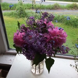 Meet your Posher, Marcia